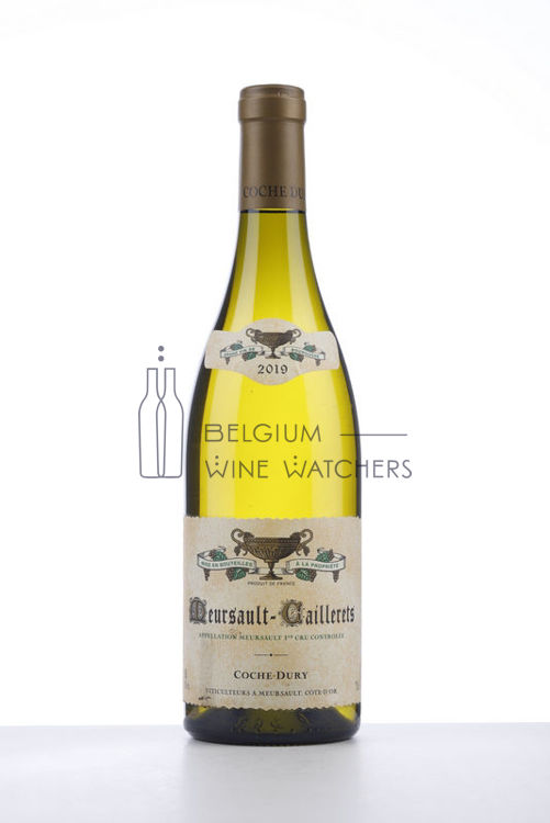 Image de 2019 MEURSAULT CAILLERETS